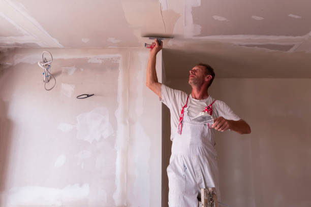 Best Drywall Sanding and Smoothing  in Cleveland, TX